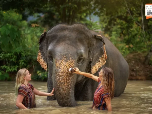 Jungle Sanctuary Half-Day Visit with Meal